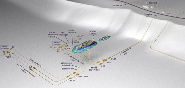 Karish and Tanin fields are operated by Energean / The image shows the fields' development plan - Credit: Energean