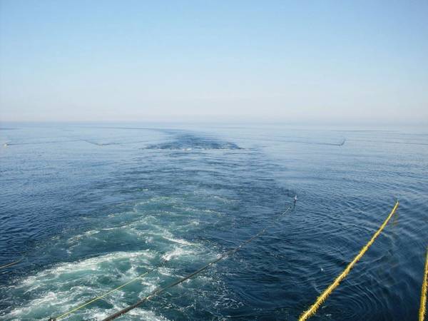Seismic streamers being towed by a vessel - Image by DedMityay - AdobeStock