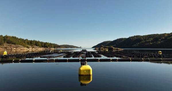 Tension Buoy installed in Risør in Norway (Credit: Fred. Olsen 1848) 