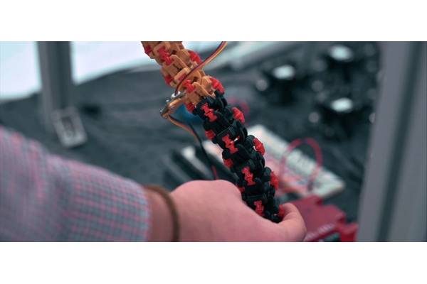 (Credit: National Robotarium)