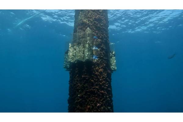 © Saitec Offshore Technologies