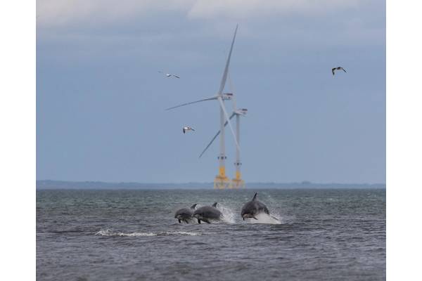 One of the turbines in Vattenfall’s Aberdeen Bay offshore wind farm is set to host an electrolyzer. Photo from Vattenfall.