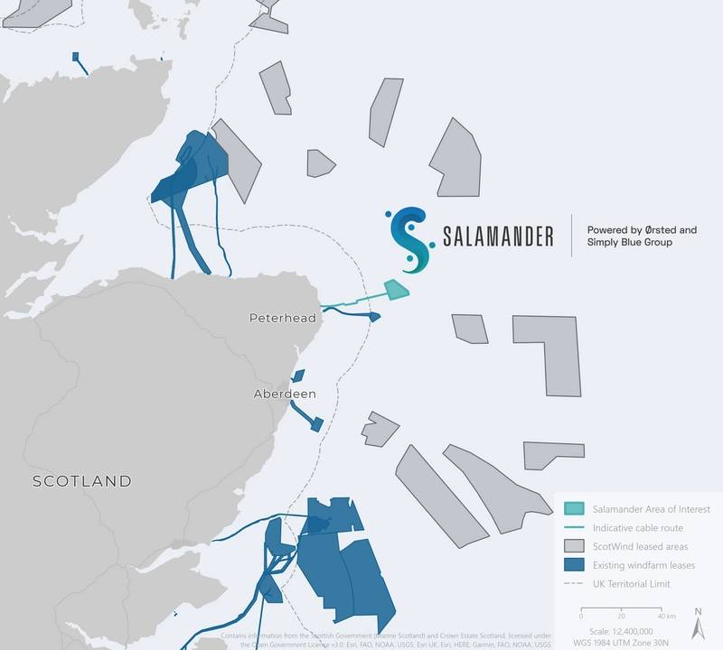 INTOG: Salamander Signs Exclusivity Agreement for 100 MW Floating Offshore Wind Project