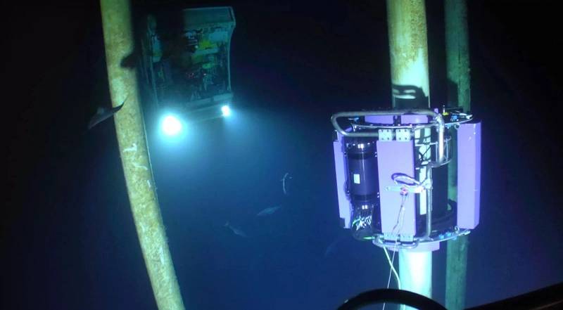 TSC Subsea to Conduct Subsea Inspections Offshore Brazil