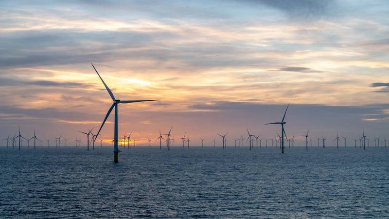 Germany’s PNE Loses Bid for Vietnam’s Offshore Wind Project