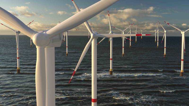 Germany: No Auction Bids Raises Alarm for Future Offshore Wind Tenders