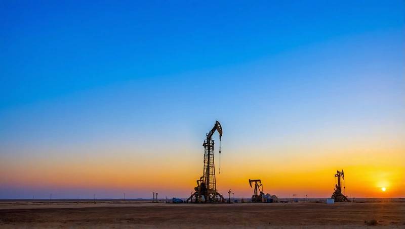 OPEC+ faces a loss of control if it delays its output further: Bousso