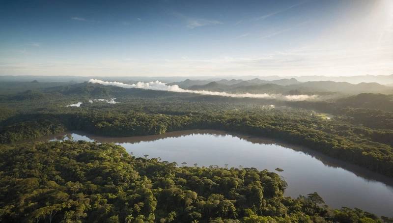 Amazon will sell carbon credits to customers and suppliers