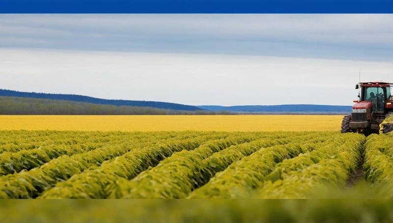 Canada farmers facing two-front war on trade as China duties come into effect