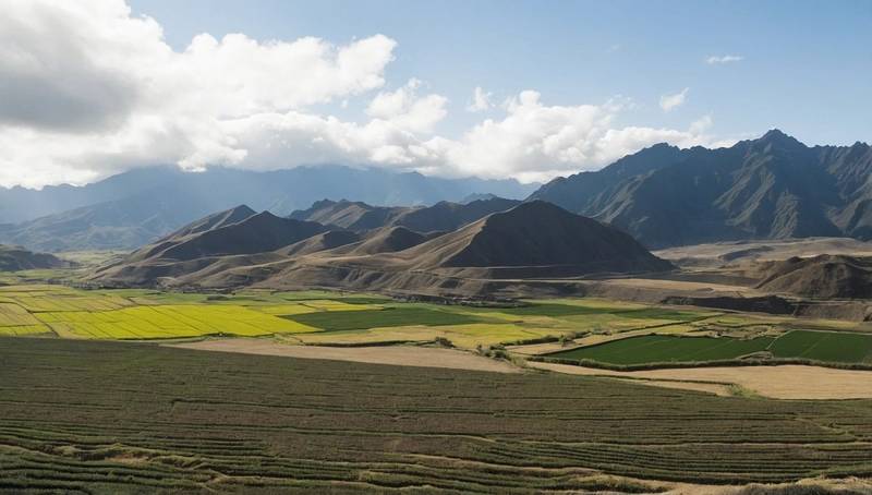Peru will spend $24 billion to expand agricultural land