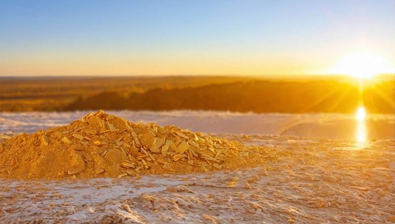 Russia's Polyus reports record EBITDA due to high gold prices