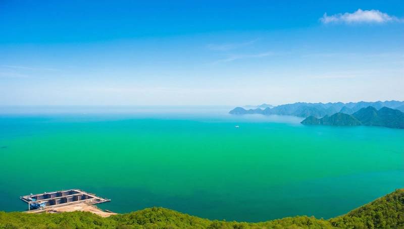 Vale and China's HBIS work together to promote steel decarbonisation