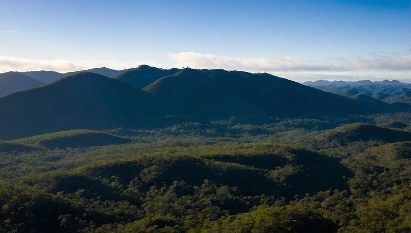 Blue chip-backed Biomas launches first Brazil reforestation project