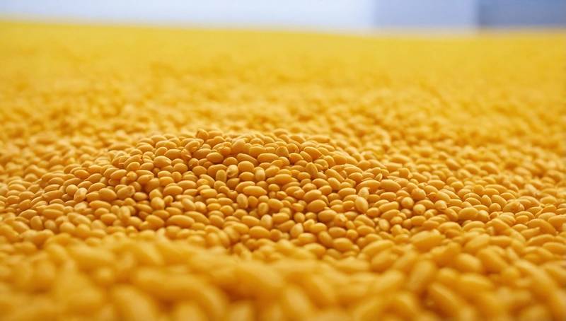 GRAINS-Chicago soya beans rise at biofuel coalition meeting