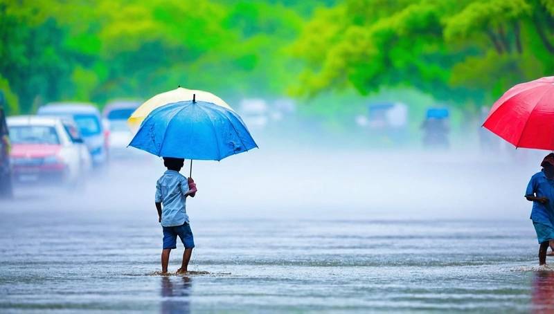 India will receive monsoon rainfall above average in 2025