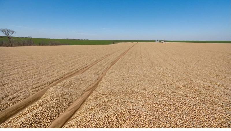 NOPA US soybean crush in March is 194,551 million bushels below most estimates
