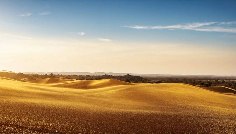 Gold Fields increases shareholder returns after profits more than doubled