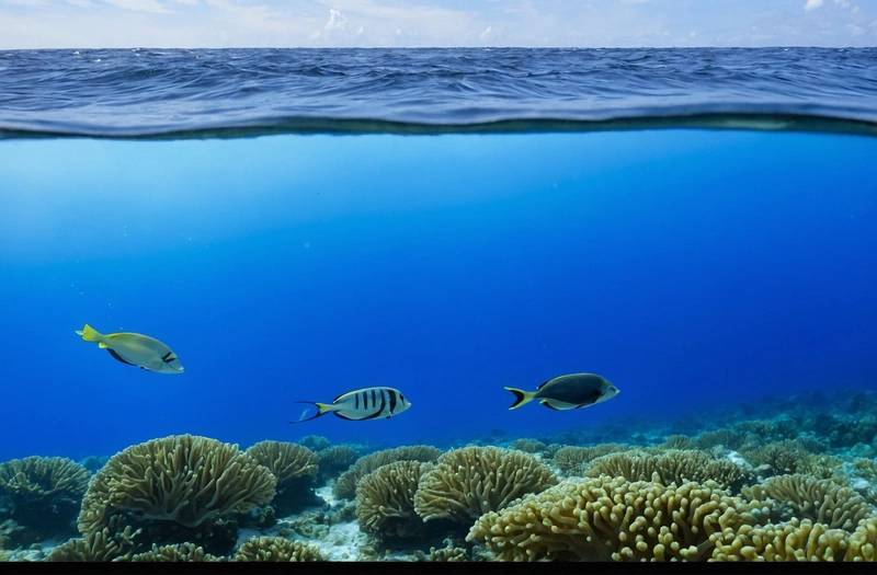 Italian study finds antibiotic resistance genes in the world's oceans