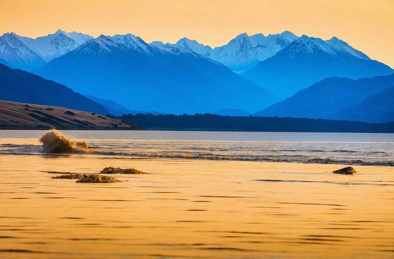 New Zealand's 'Pure gold' chases record prices