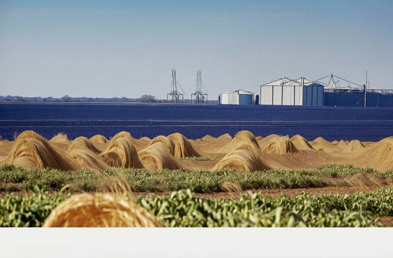 Short-dated yields are mostly higher, as crude prices rise; the focus now turns to employment data