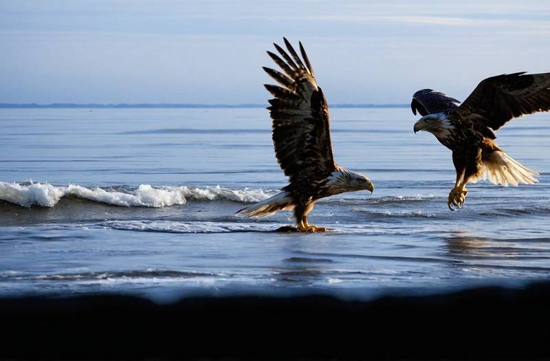 The Fed's hawkish stance on gold could lead to the worst quarter-end loss for gold in 13 years