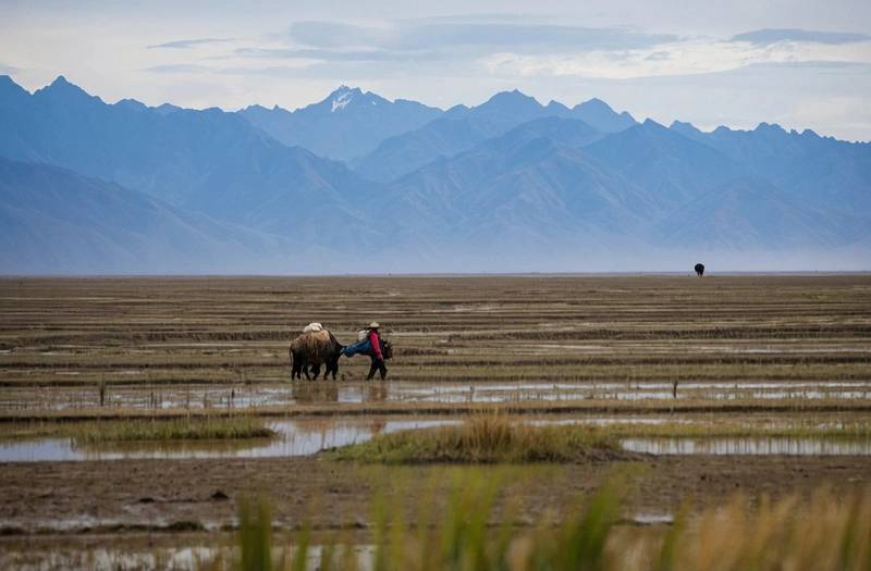 El Nino could affect growth, warns Peru's central banking chief after weak May GDP