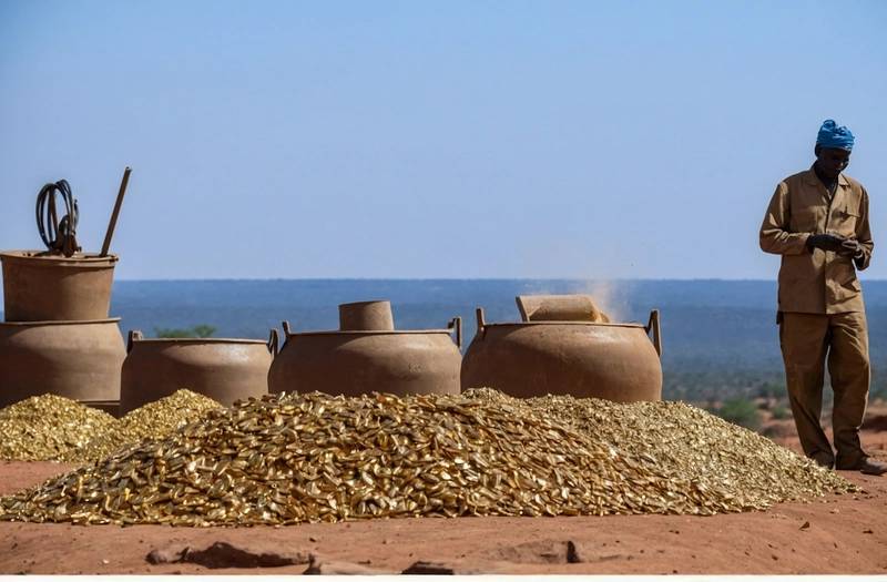Mali's gold production is expected to remain below 60 tonnes by 2029 according to a ministry plan