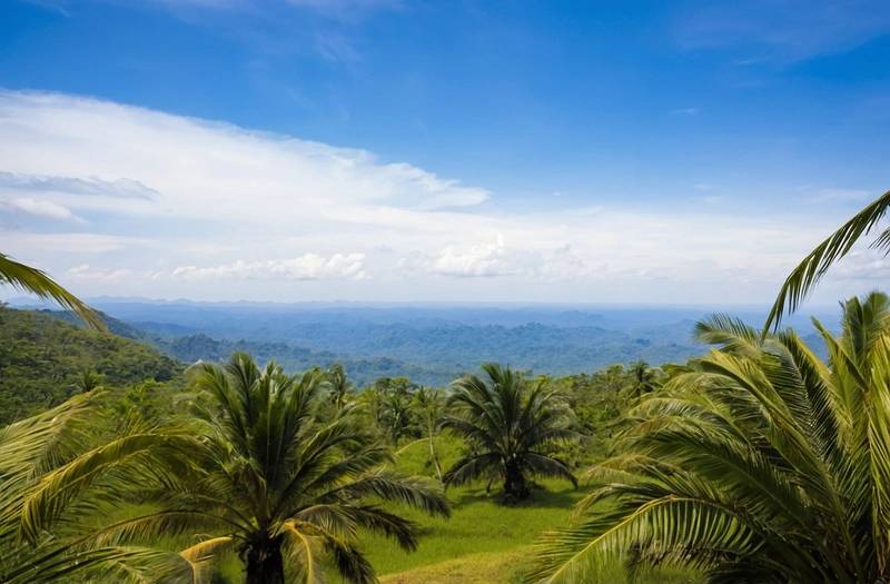 Palm oil prices rise on bargain-buying, and crude oil is rebounding