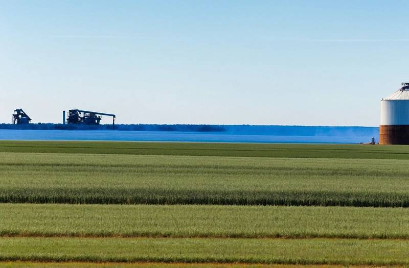 USDA reduces again its projections for US sugar production