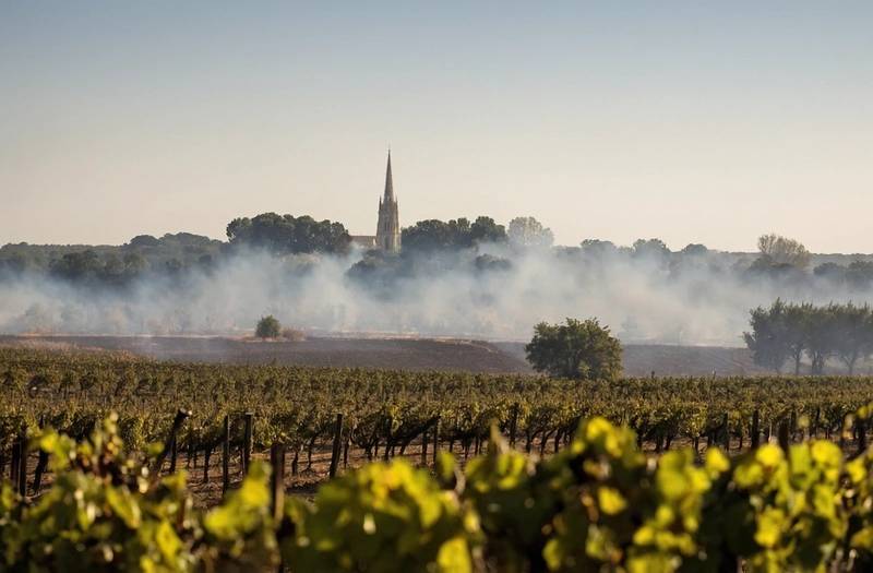 Wildfires threaten Bordeaux's wine industry