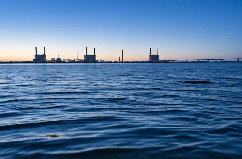 Three reactors shut down by jellyfish at French nuclear plant