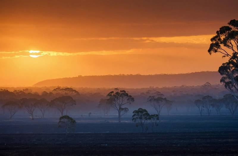 Australia prepares for its own fire seasons after European summer's heat