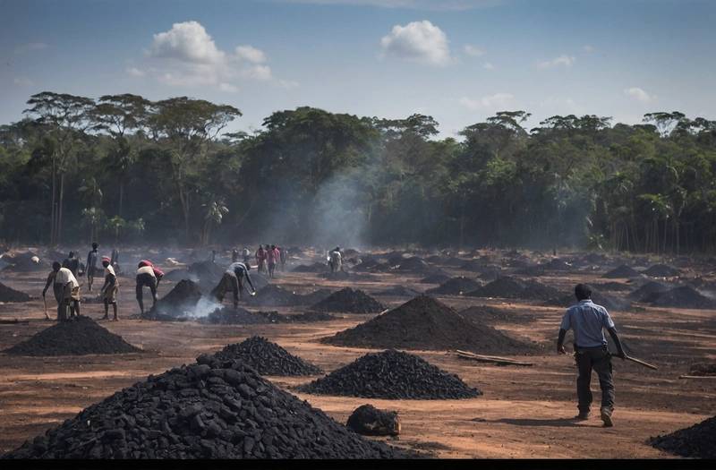 UK retailers stock charcoal that is linked to Paraguay's deforestation.