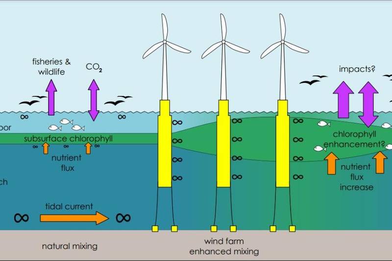 Oceanographers Call for Study on Impact of Floating Wind on Shelf Seas ...