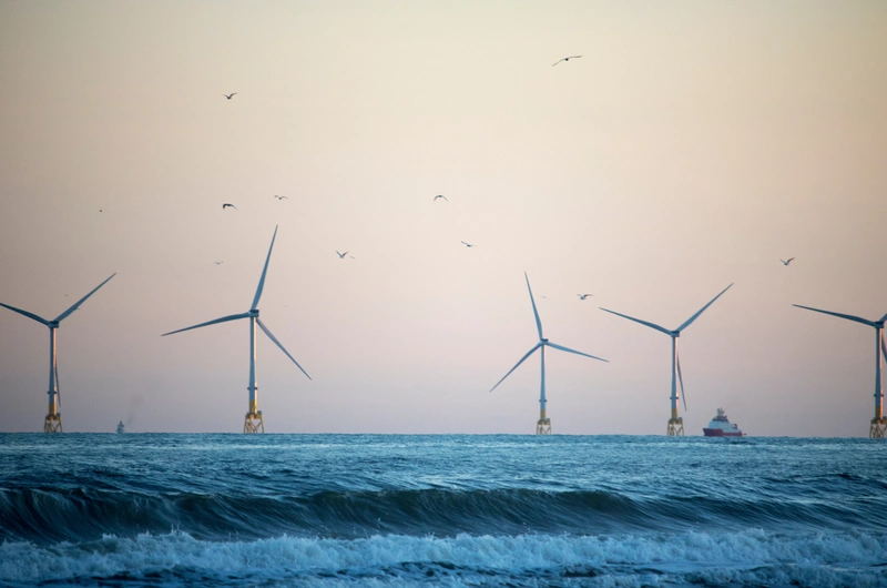 Offshore Wind: All 17 ScotWind Lease Round Winners Get Green Light to Proceed to Development Stage