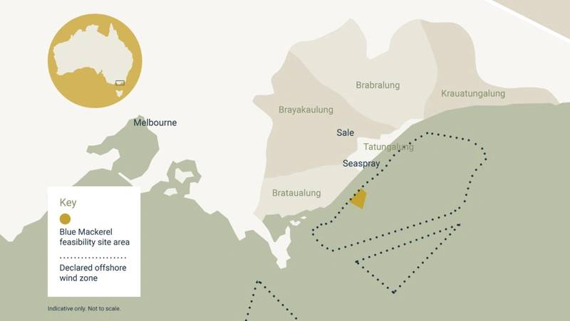 First Offshore Wind Management Plan Approved for Parkwind’s Blue Mackerel