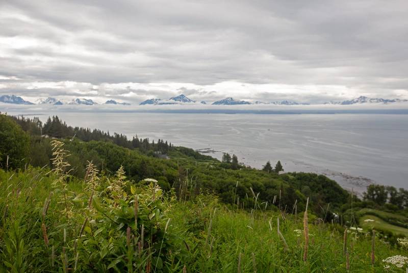 Oil companies reject Trump Administration's Alaska Offshore Auction