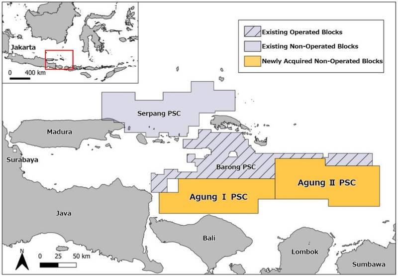 Inpex Buys Into Two BP-Operated Indonesian Offshore Blocks