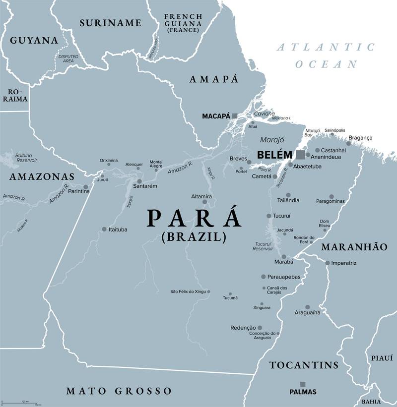 Petrobras Halts Drilling in Environmentally Sensitive Area After Fluid Leak