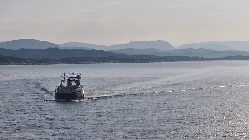 Reach Subsea Completes Inspection for TotalEnergies Using USV/ Electric ROV